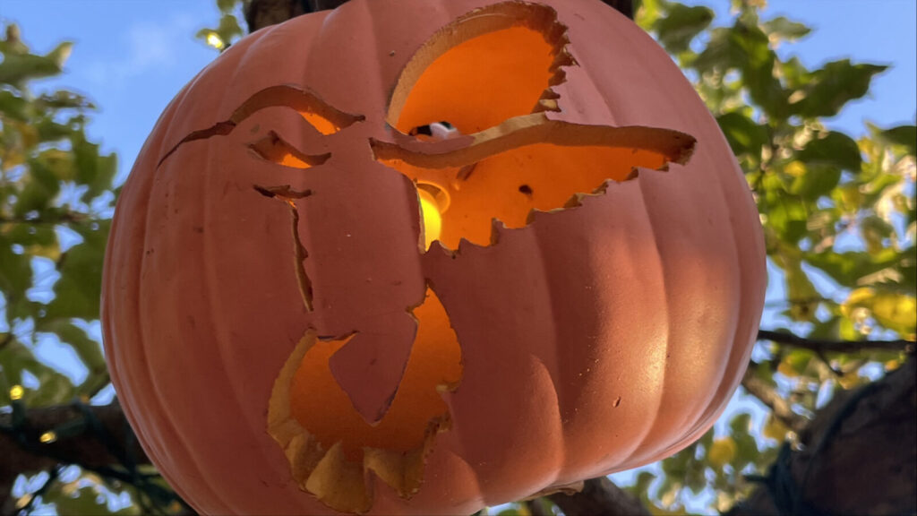 Pumkins hang in the trees like lanterns and glow with the shapes of hummingbirds at Naumkeag's annual pumpkin show.