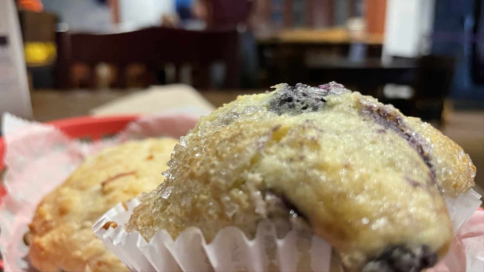 A blueberry muffin glistens with sugar at Dottie's Coffee Lounge.