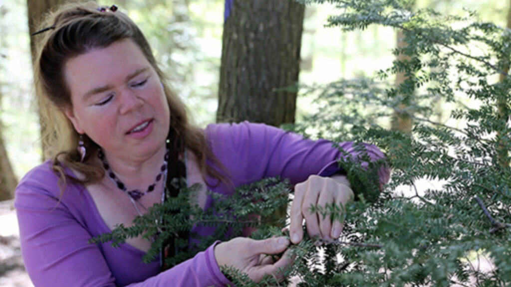 Arianna Collins, wild edibles enthusiast, shows the shape of hemlock needles. Press photo courtesy of the Clark Art Institute