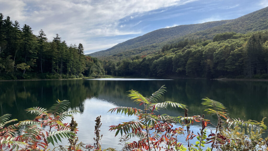Sumac redden along the shore of the Notch Reservoir in North Adams on a clear early fall day.