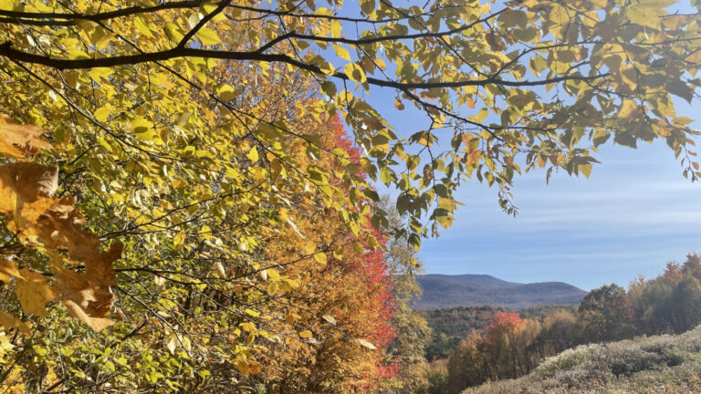 Fall color touches Sheep Hill in Williamstown with golden light.