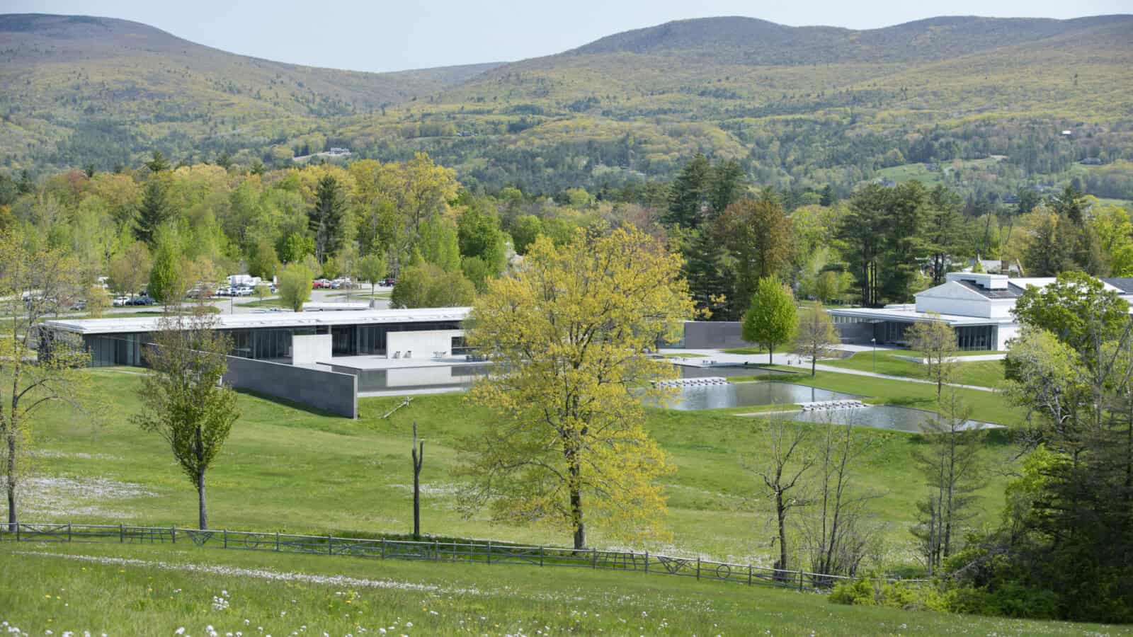 Wildflowers bloom on Stone Hill with the Clark Art Institute in the distance. Press photo courtesy of the museum