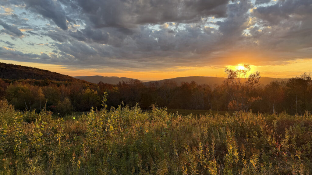 Sunset touches the meadow at Jones Nose on Mount Greylock with Golden Light.